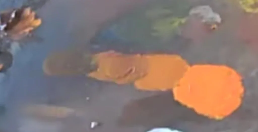 Burnt sienna mixed into the orange, making it deeper and warmer