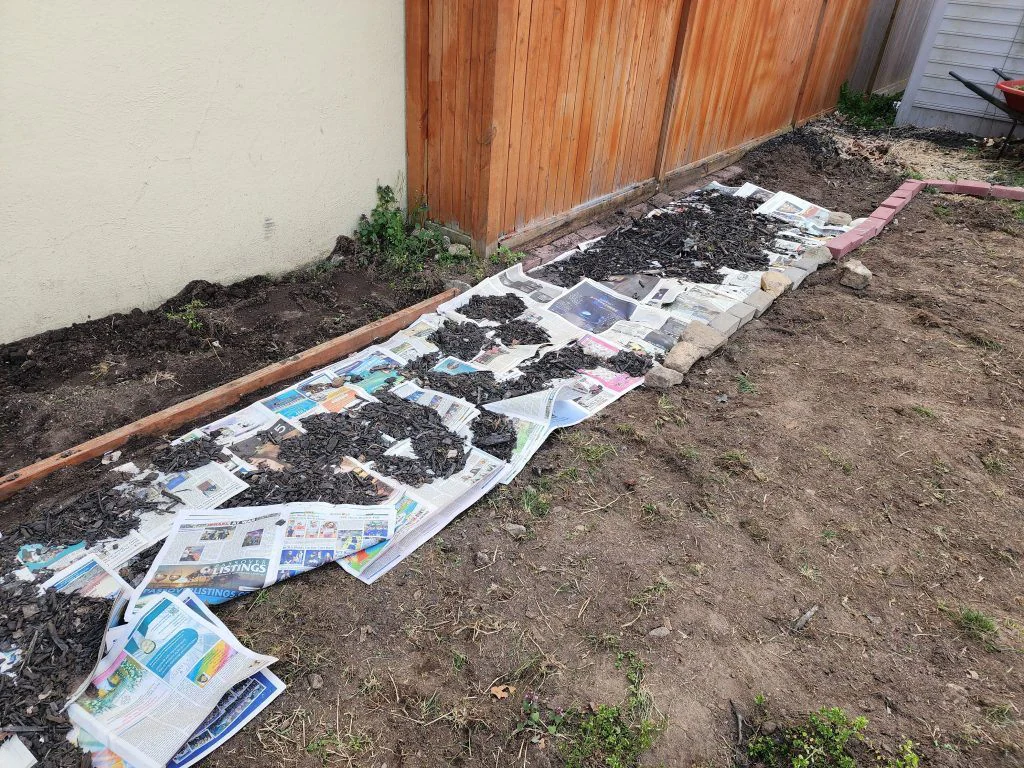 Lowering a raised mulch mound along the back fence with a spade