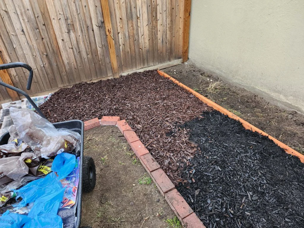 The wood-chip path running along the back garden fence