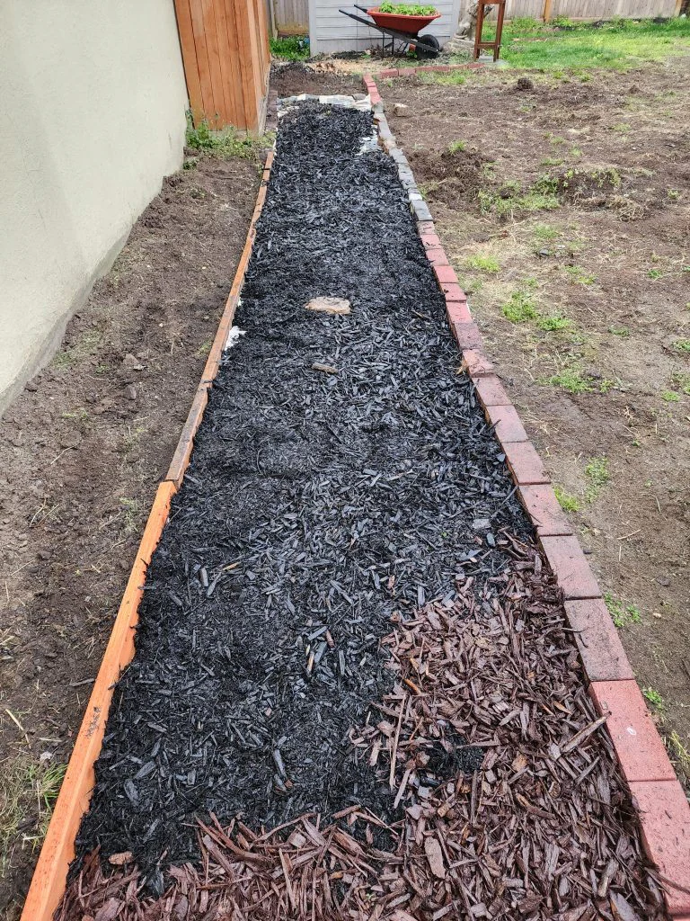 The mulch path continuing toward the far back corner of the garden