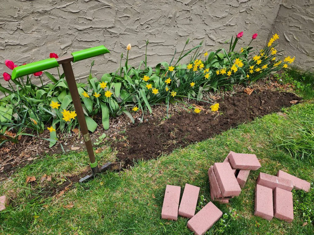 Bricks removed from one bed, grass being cut back to a defined line with a half-moon edger