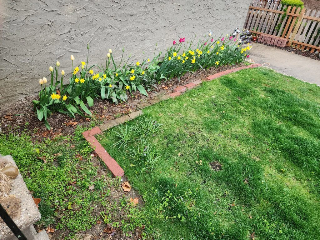 Two front flower beds either side of the front steps, overgrown with weeds and grass