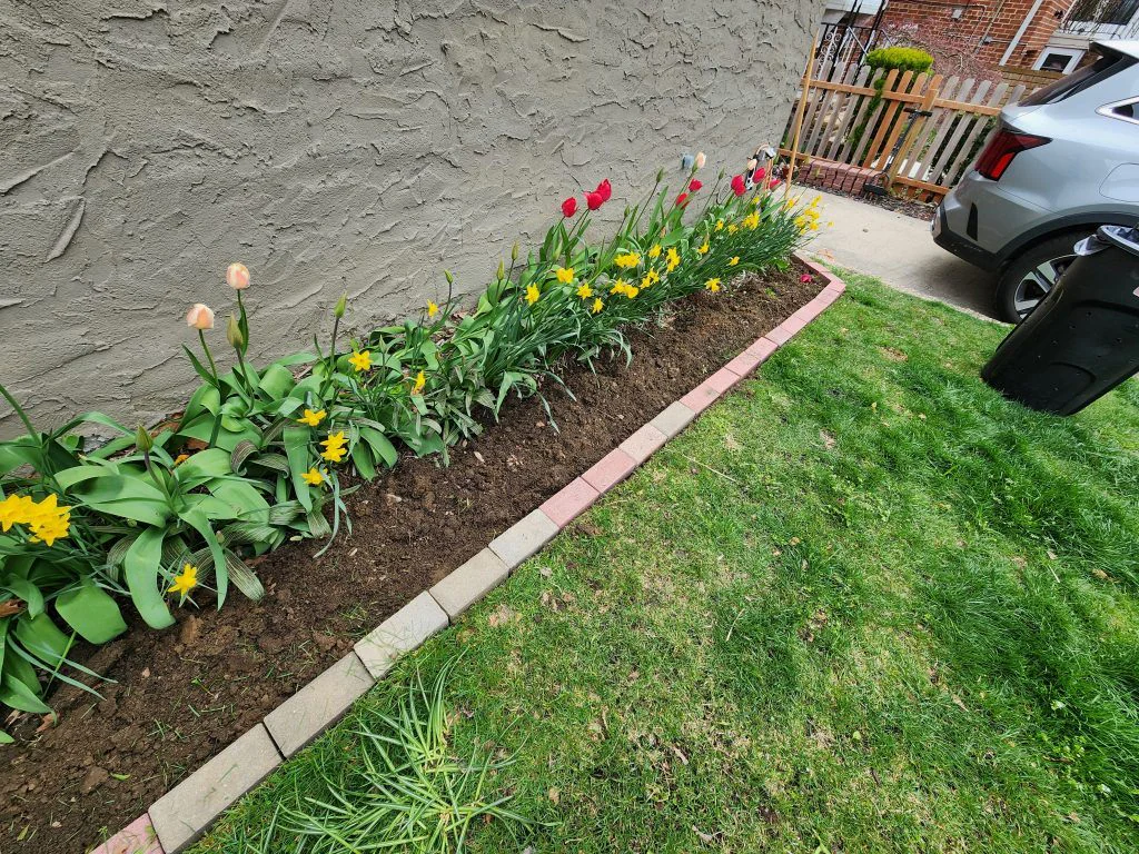 Raised brick border clearly visible along the bed edge, seen from the front path