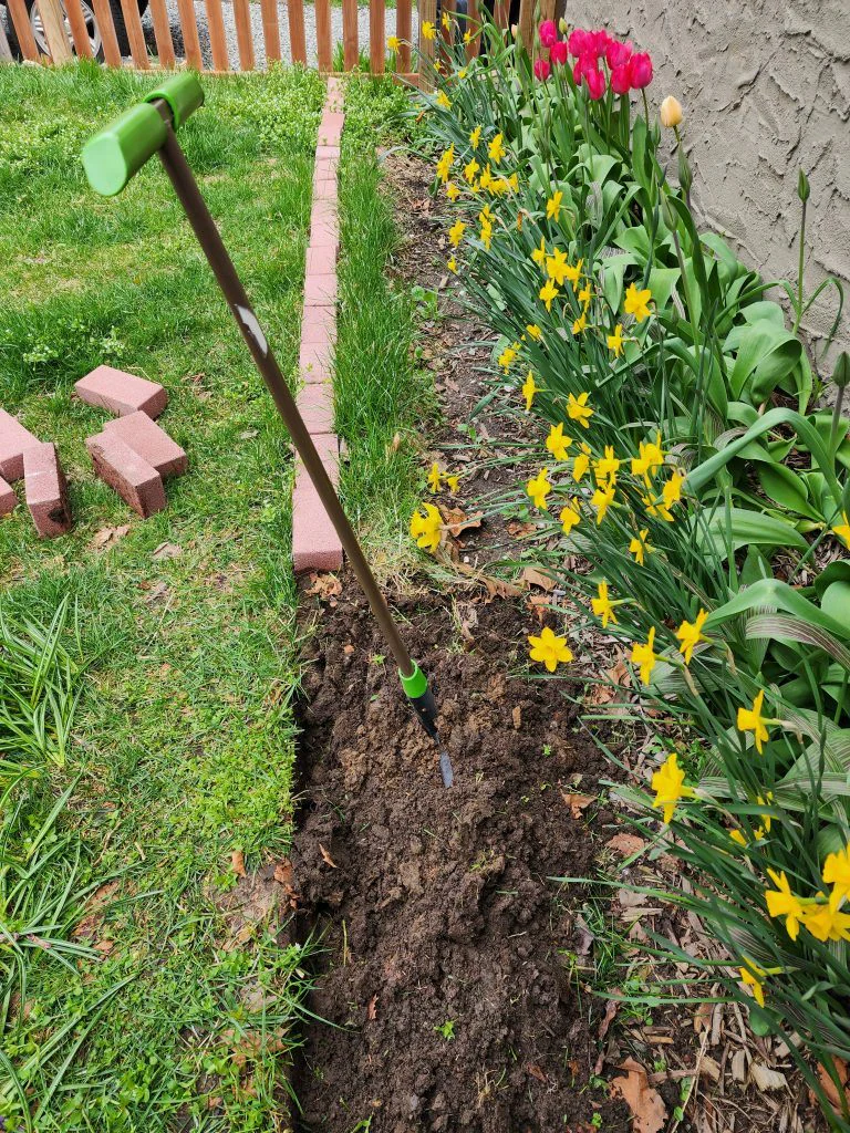 Using a half-moon edger like a spade to loosen and flip grass out of the bed