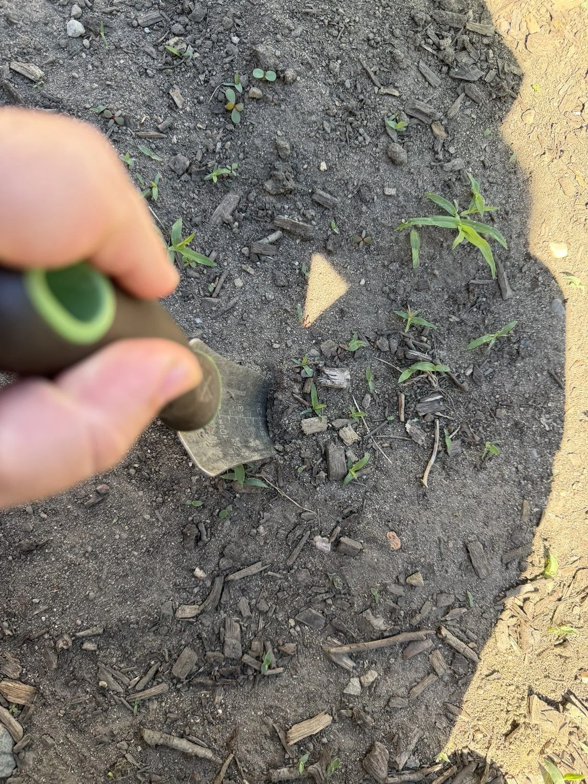 A trowel with inch markings stopped about two inches into hard, unworked ground