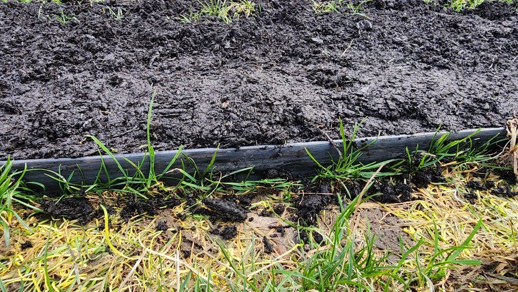 Thin plastic lawn edging, only about an inch and a half tall, with grass already creeping under it
