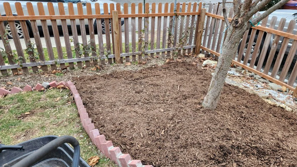 The awkward front corner under a tree before wood chips were laid